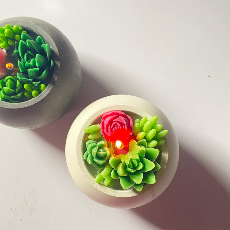 "Desert Bloom