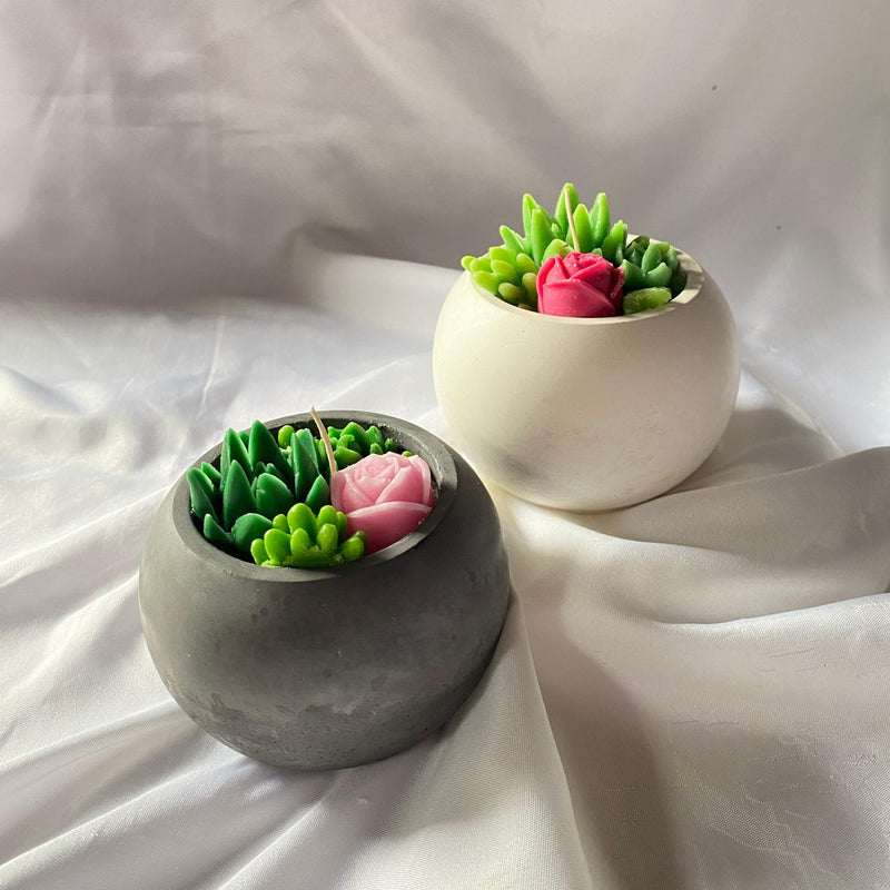 "Desert Bloom